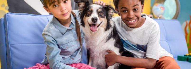 Série de TV ensina crianças a cuidar de filhotes de animais de estimação