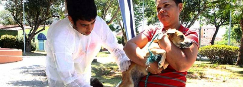 Vacinao antirrbica comea neste domingo em So Jos