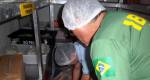  Ibama fecha indstria e aplica R$ 315 mil em multas no defeso do camaro no Rio de Janeiro