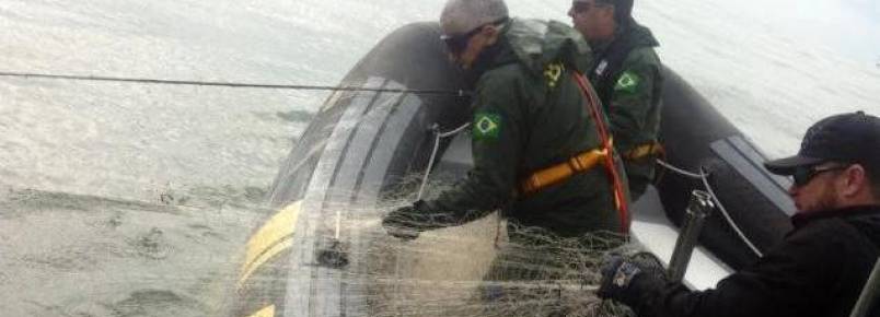 Polcia Federal e Ibama fazem operao para reduzir morte de animais marinhos em Itaja e Navegantes