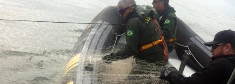 Polícia Federal e Ibama fazem operação para reduzir morte de animais marinhos em Itajaí e Navegantes