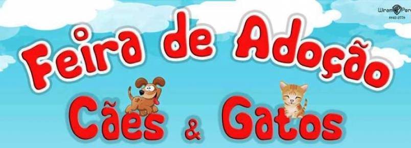 ONG realiza feira de adoção de animais em Muriaé (MG)