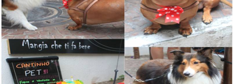 Restaurante inaugura espaço para cães em São Paulo