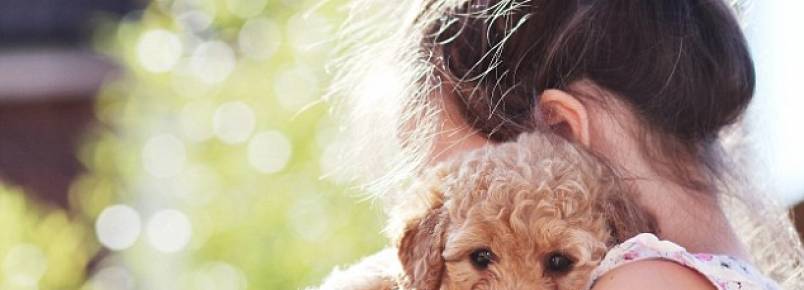 Estudo revela que animais de estimao deixam as pessoas menos estressadas