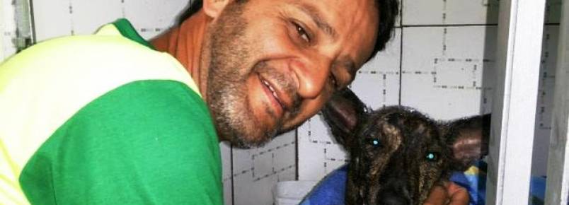 Com doaes por rede social, morador do Rio resgata animais  beira do morte