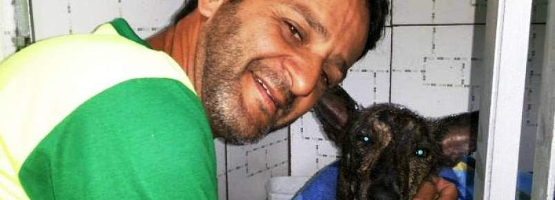 Com doações por rede social, morador do Rio resgata animais à beira do morte