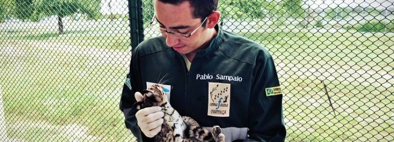 Animais do São Francisco voltam à vida selvagem