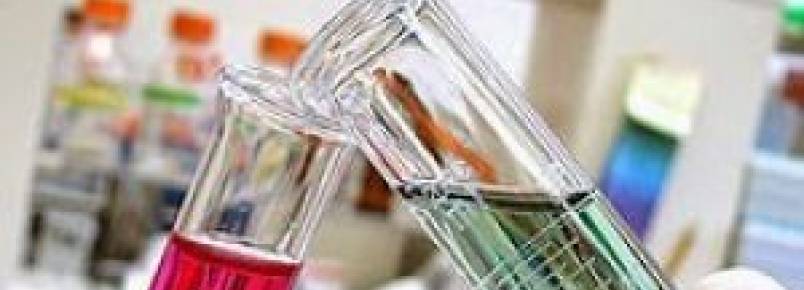 Exames laboratoriais específicos para pets auxiliam na prevenção de doenças