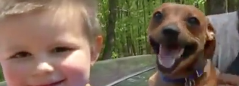 Cachorro ajuda famlia a encontrar garoto de 3 anos que estava perdido
