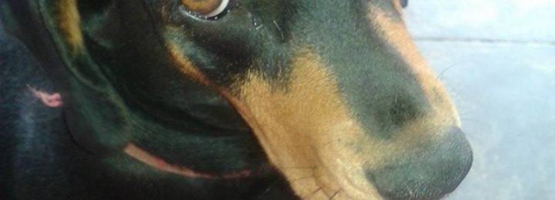 Bia: Uma Bassezinha ciumenta