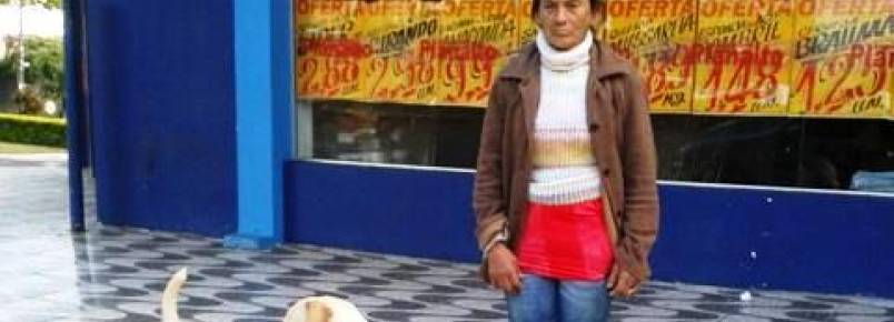 Idosa, e seus cães, consegue teto com ajuda dos Amigos de Patas
