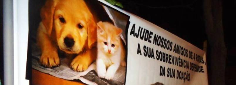 ONG de proteo aos animais de Caic inicia campanha para construo da sede prpria