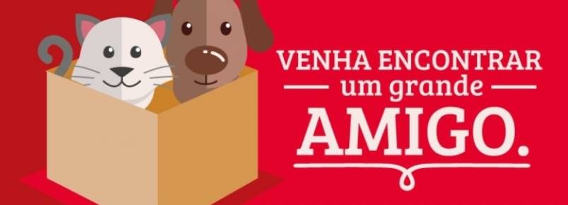 Feira de adoo de animais acontecer no North Shopping Jquei‏