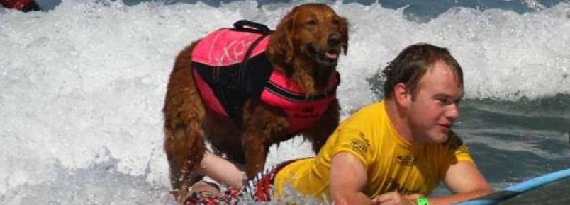 Conhea a cadelinha que surfa com pessoas deficientes