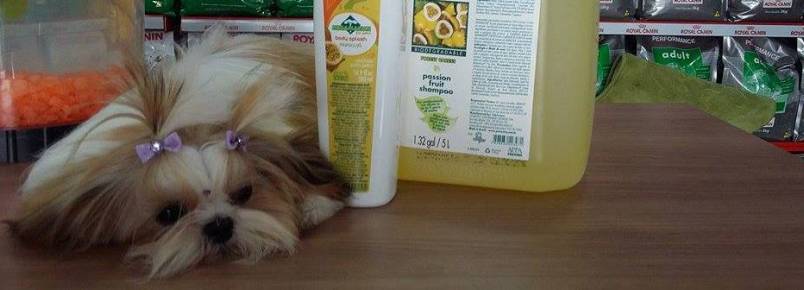 Banho Relaxante na Clinvet é um sucesso