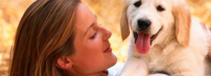 Justia autoriza cachorra com leishmaniose ser tratada em casa pela dona