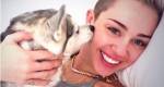 Miley Cyrus afirma estar devastada com a morte de seu cão