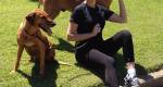 Ana Hickmann e seus cachorros