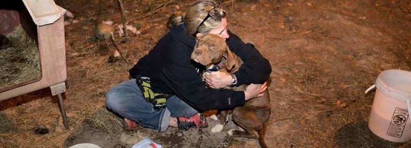 Família reencontra cachorra que foi roubada há mais de um ano