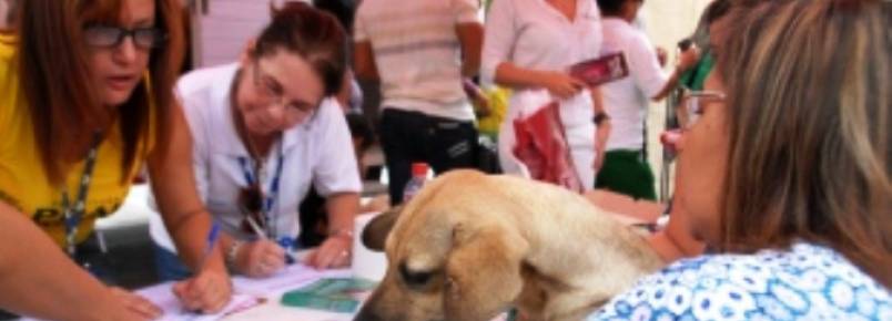 Feira de Adoo garante um novo lar a 27 animais de estimao