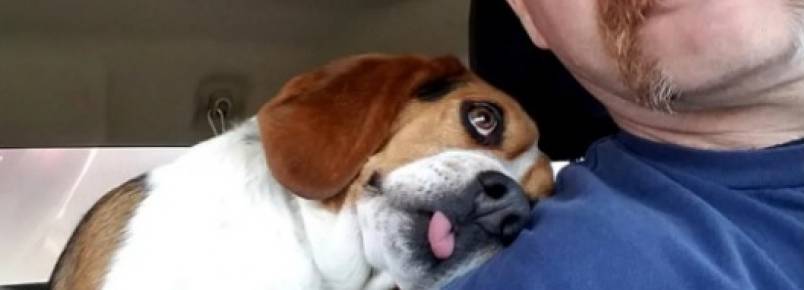 Cãozinho que estava na lista de eutanásia tem reação fofa ao ser resgatado