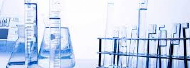 Anvisa chancela 17 métodos de pesquisa que evitam testes em animais
