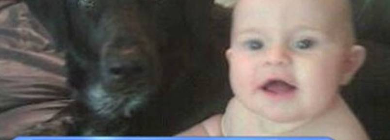Cão salva criança de babá abusiva e violenta