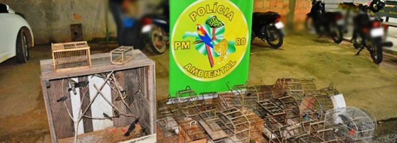 Polícia Ambiental apreende mais de cem pássaros silvestres
