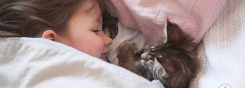 Menina autista faz terapia com ajuda de seu gato de estimação