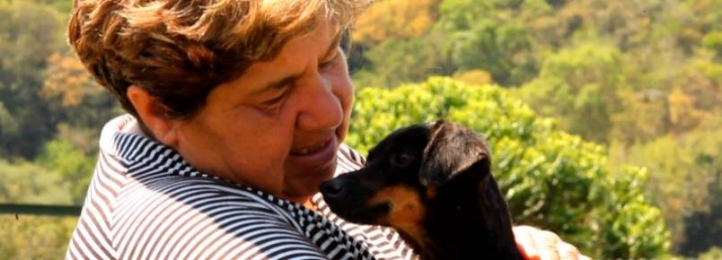 História de mulher que dedica a vida para cuidar de animais abandonados é narrada em websérie