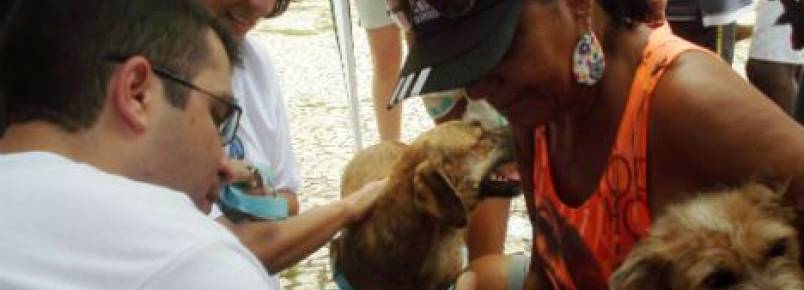 Mutirão vai vacinar gratuitamente cem cães no bairro de Mussurunga