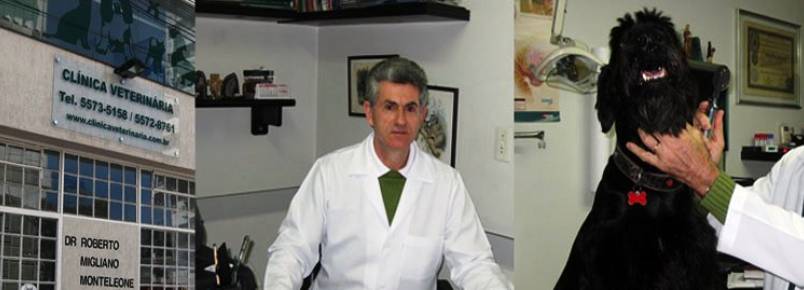 Uso de células tronco na medicina veterinária