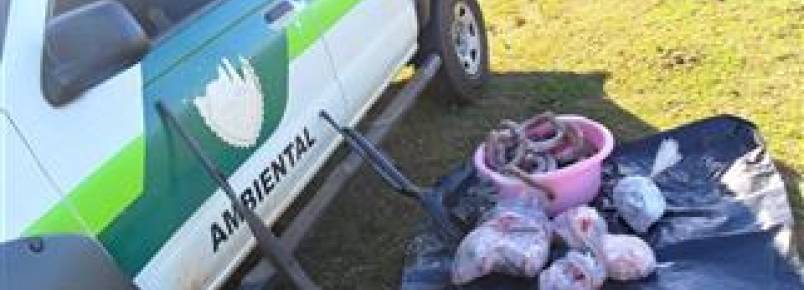Homem  preso com armas e 21kg de carne de capivara em Loanda