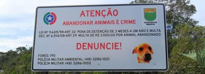 Projeto Ambiental faz campanha contra abandono de animais em Palhoça