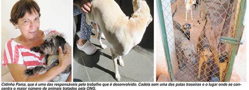 Em dificuldades ONG SOS Animais pede socorro para sobreviver