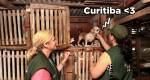 Curitiba: Decreto reconhece proteção animal como atribuição de fiscais