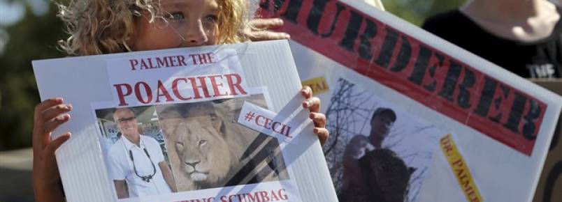 Deputado cria projeto-lei "Cecil" para travar caça a animais ameaçados