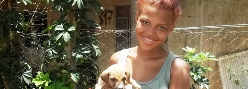 Cãozinho após ser jogado de uma altura de  mais de 2 metros teve final feliz.