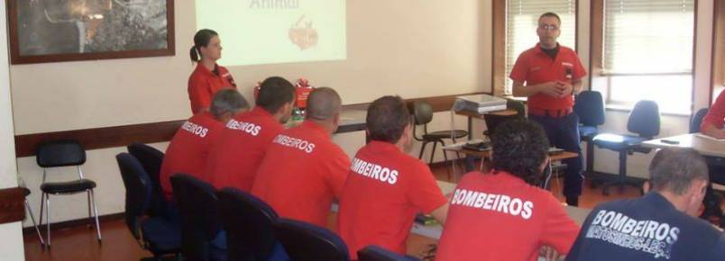 Bombeiros de Leça compram kit para socorrer animais