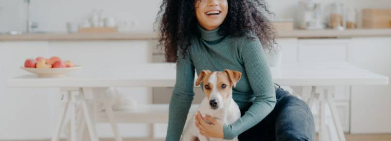 Como montar uma creche para cachorros  Passo a passo