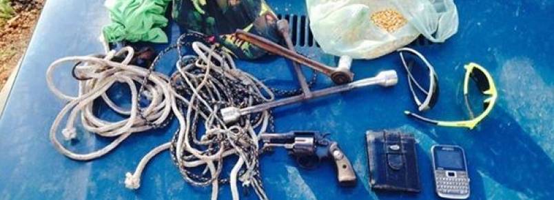 Polícia captura quadrilha especializada em roubar animais em fazendas do PI