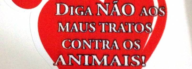 Irmandade das Patinhas lança adesivo contra maus tratos em P. Porã