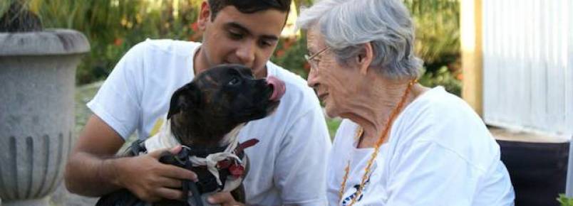 Projeto Pêlo Próximo realiza bazar solidário com a presença de seus cães terapeutas