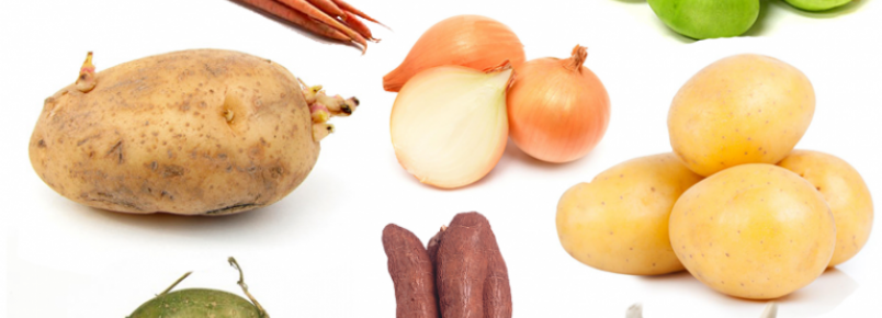 Verduras e legumes proibidos para cães