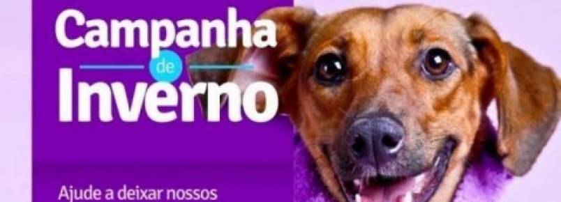 Campanha de Inverno busca doações para animais carentes