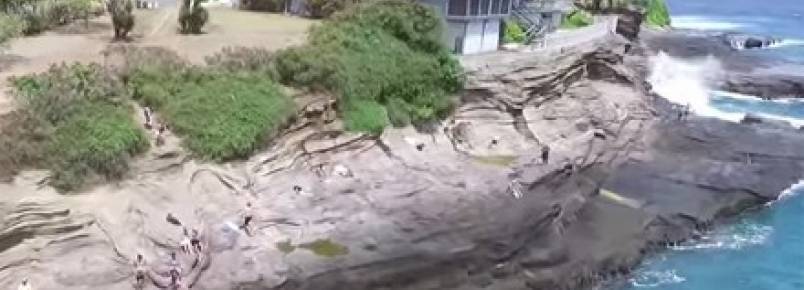Onda gigante surpreende cãozinho, mas ele sai ileso