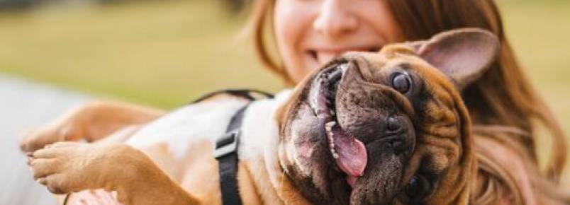 Erros que cometemos com nossos animais de estimação