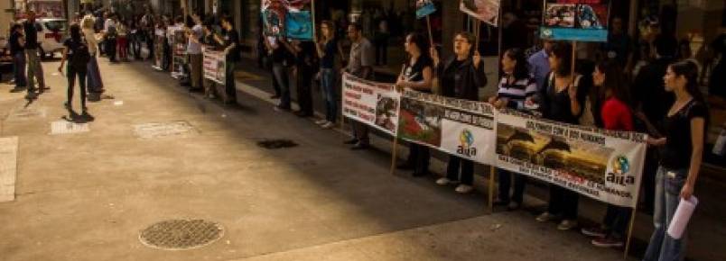 Ativistas protestam em So Paulo contra caa de golfinhos