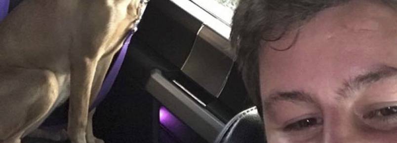 Estudante ignora advertências e enfrenta furacão para salvar cães no Texas