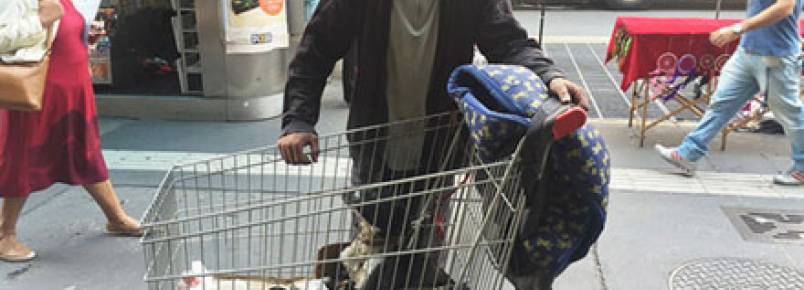Morador de rua vende carroa para cuidar de ninhada de cachorrinhos